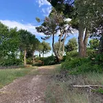 Torre Del Gallo Hotel Ripatransone